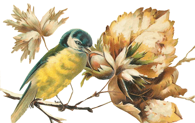 őszi állatok_163.png